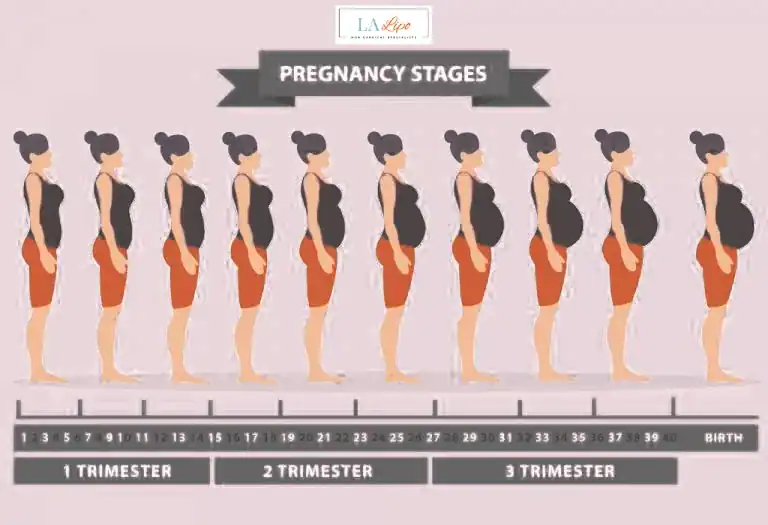 First Trimester (Weeks 1–12): Early Changes You Might Not Notice Wales